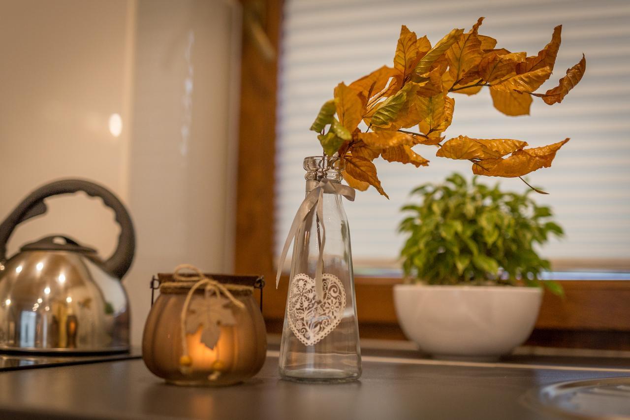 Apartament Lesny 扎科帕内 外观 照片